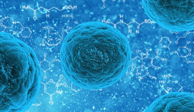 Роля на стволовите клетки при лечение на уринарна инконтиненция /Презентация/