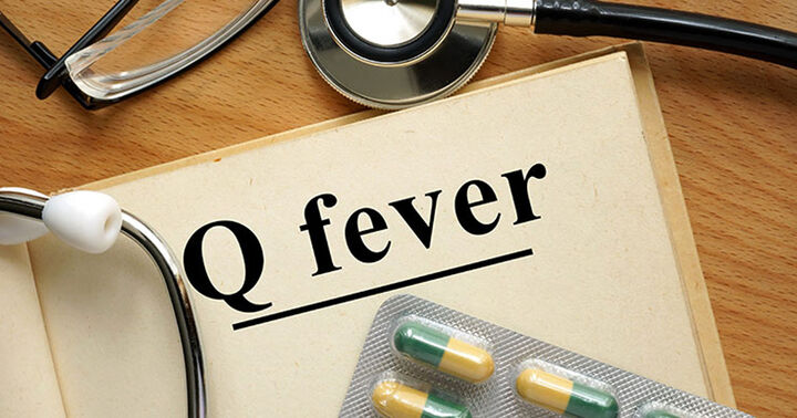 Ку-треска (Q fever)