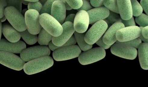 Сепсис предизвикан от Clostridium perfringens и фетална смърт след диагностична амниоцентеза