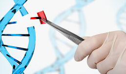 Тревожна информация за генномодифицираните китайчета разкри журналист