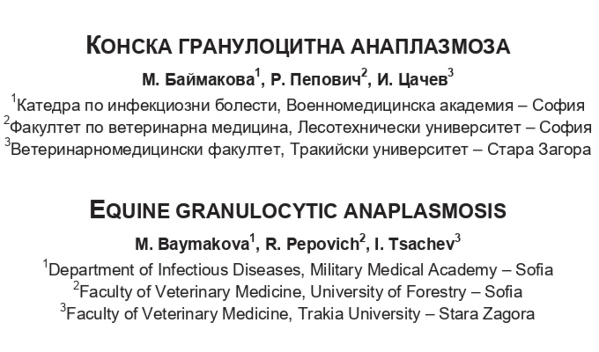 Конска гранулоцитна анаплазмоза