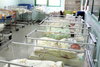 8 бебета се родиха в „Софиямед“ в Светлата седмица