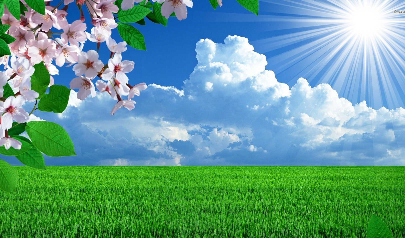 Основни източници на информация за SARS-CoV-2 / COVID-19