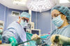 Екипи на ВМА и „Пирогов” оперираха 11-месечно дете с рядък тумор
