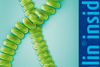 Spiralin® – зелената нишка във философията на Ocean Pharma