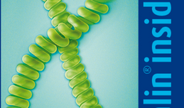Spiralin® – зелената нишка във философията на Ocean Pharma