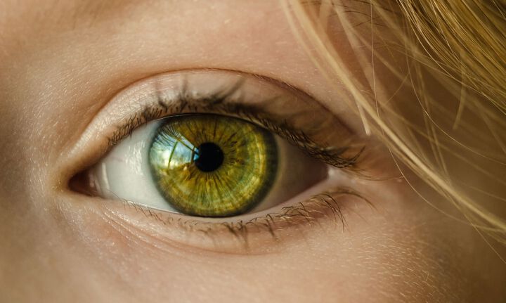 Има ли „лечима слепота” и кои заболявания увреждат очите ни