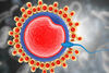 Влияние на SARS-CoV2 върху мъжката репродуктивна система