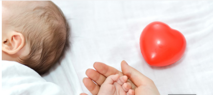 119 недоносени бебета са лекувани в Медицински комплекс “Д-р Щерев” за 13 месеца