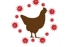 Китай обяви първа жертва на птичи грип H3N8