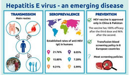 40 години от откритието на Хепатит Е вирус (Hepatitis E Virus, HEV)