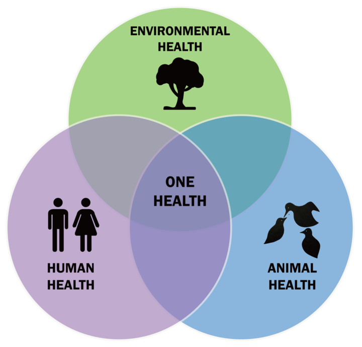 One Health: Честит професионален празник на всички Ветеринарни лекари