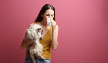 Алергия към домашни любимци – какво трябва да знаем
