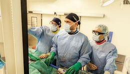 Иновации в съдовата хирургия на ВМА