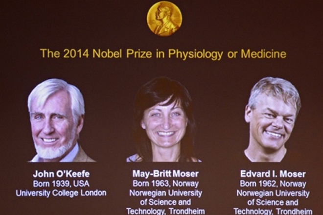 "Мозъчен GPS" печели Нобеловата награда за медицина