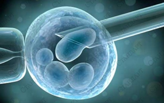 Генетични нарушения и препоръки за генетични тестове при тежки нарушения в сперматогенезата
