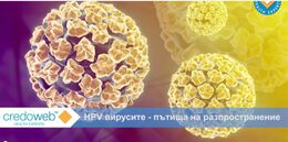 Нови данни за разпространението на HPV (ВИДЕО)
