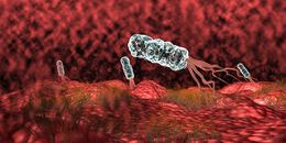Откриване на инфекция с Helicobacter pylori и ролята на лабораторията за откриването й