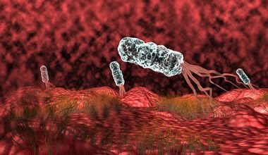 Откриване на инфекция с Helicobacter pylori и ролята на лабораторията за откриването й
