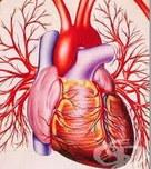 5 неотложни действия при хипертонична криза 