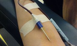 Как се изследва дарената кръв /ВИДЕО/