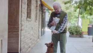 “Мъжът и кучето“ - една реклама в подкрепа на трансплантациите,  която просълзи света