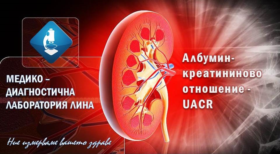 Албумин-креатининовото отношение има водеща роля при диагностиката на