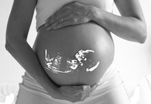 Плодовитостта на жените се предава по майчиния род