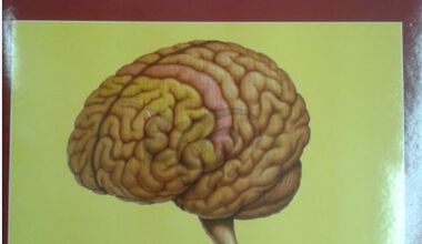 Излезе първият клиничен учебник по Неврология на английски език 