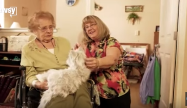 Котка-робот в помощ на болни от Алцхаймер (ВИДЕО)