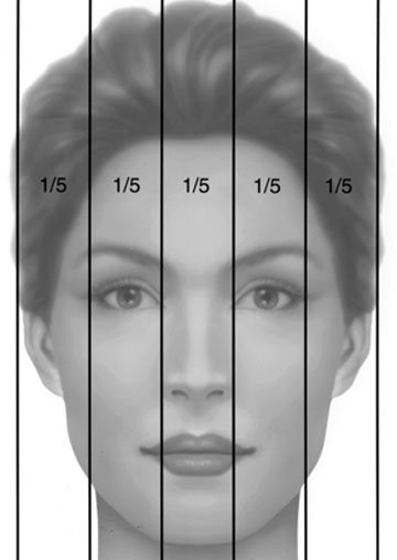 Пропорции носа. Деление лица на трети. Деление лица на три части. Лицо поделено на три зоны. Треть лица портреты.