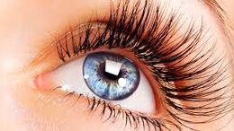 Приема на статини може да е ефективно при заболявания на очите свързани с възрастта