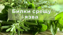 Рецептите на Петър Димков за лечение на язва