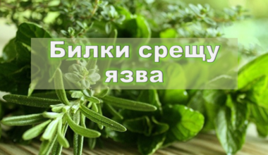 Рецептите на Петър Димков за лечение на язва