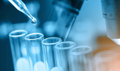 Ресвератрол при възпаления и метаболитни проблеми