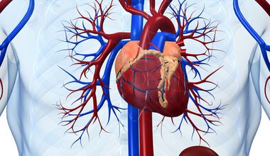 Биорезорбируеми стентове се прилагат при инфаркт, но и като планово лечение