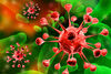 5 важни факта за норовируса