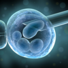 Медицинска генетика и ембриология