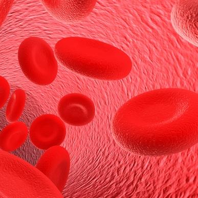 Тромбофлебит - причини, симптоми, лечение | CredoWeb