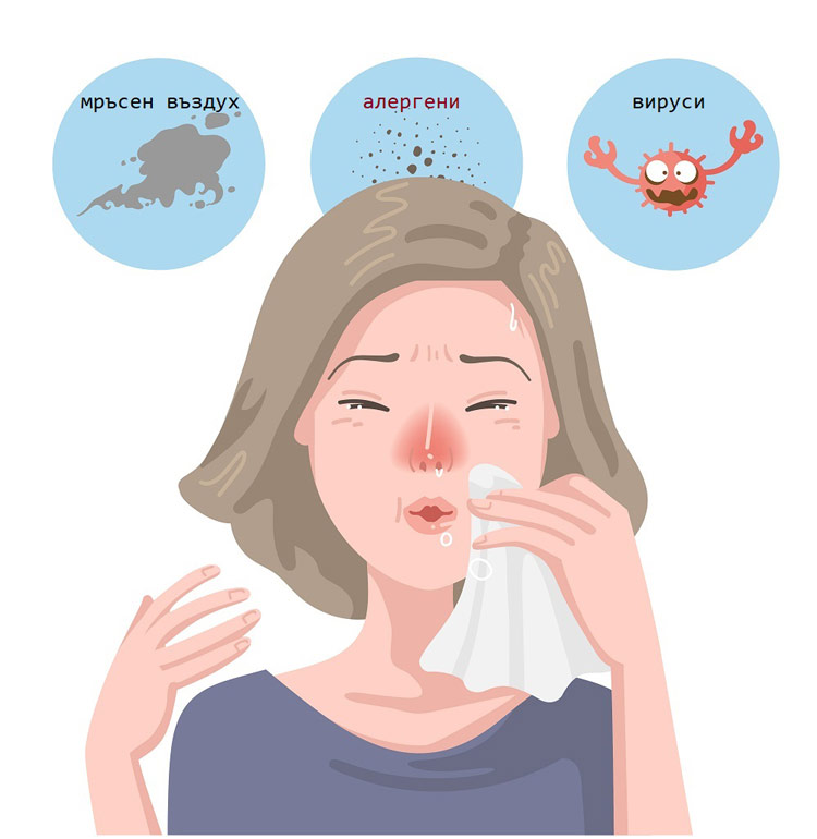 алергените са основен причинител на сенна хрема
