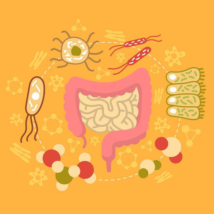 La microbiota intestinal y los probióticos