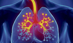 Asma, una enfermedad que puede ser controlada