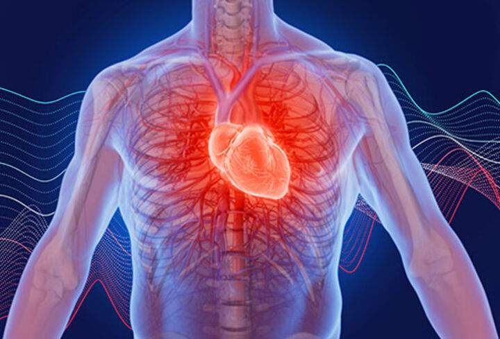 Modern heart valve diagnostics and therapy (VIDEO)