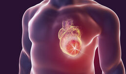 Potential dangers of natural supplements for the athlete's heart