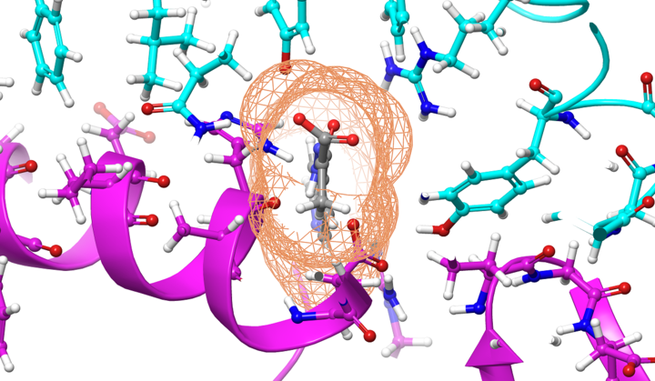 Scientists study link between COVID variants and untreated HIV