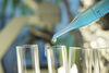 Oxford coronavirus vaccine data could go to regulators this year