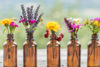 French watchdog recommends ending reimbursement for homeopathic drugs