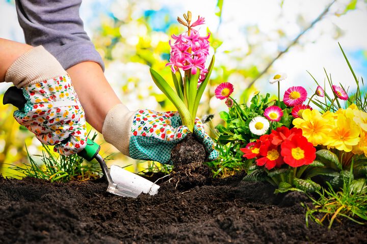 С градинарстването не бива да се прекалява, може да създаде проблеми