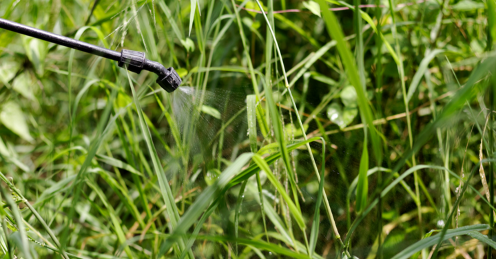 Austria bans weedkiller glyphosate - first in EU