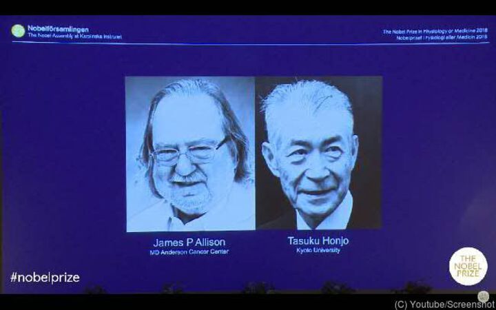 Krebs-Immuntherapie: Medizin-Nobelpreis für Forscher aus USA und Japan
